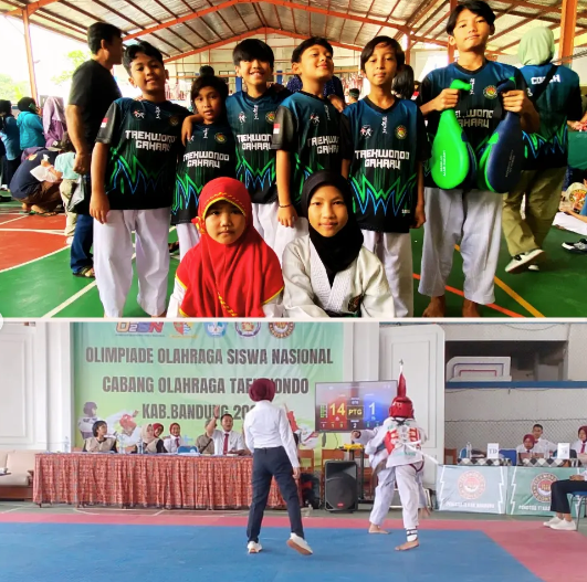Taekwondo